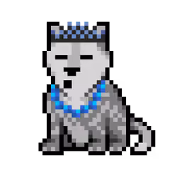 Wolf #8546
