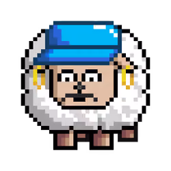 Sheep #5807