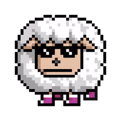 Sheep #8569