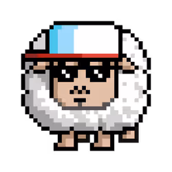 Sheep #3817