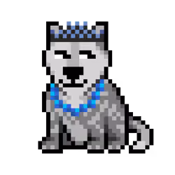 Wolf #13380