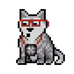 Wolf #13411