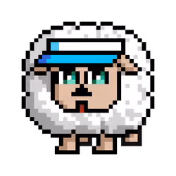 Sheep #12527