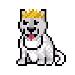 Wolf #9304