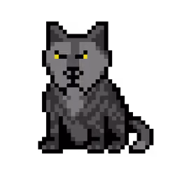 Wolf #13705