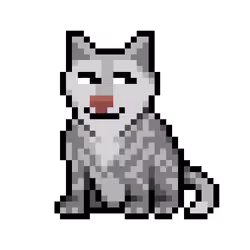 Wolf #6895