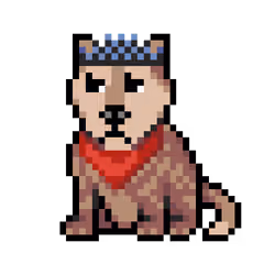 Wolf #13772