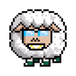 Sheep #501