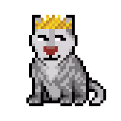 Wolf #13504