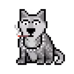 Wolf #6824