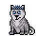 9569