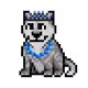 10245