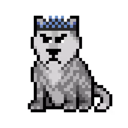 Wolf #796