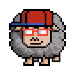 Sheep #9855