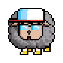 Sheep #6463
