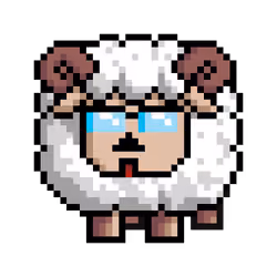 Sheep #11609