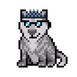 Wolf #9576