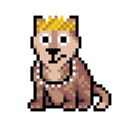 Wolf #11841