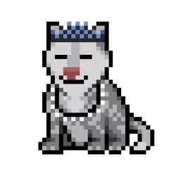 Wolf #12516