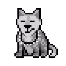 Wolf #3111