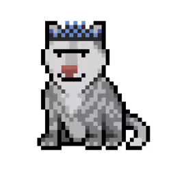 Wolf #12985