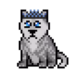 Wolf #13329