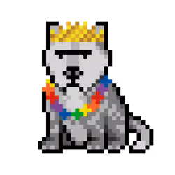 Wolf #6311