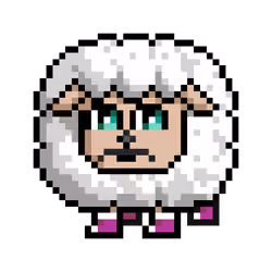 Sheep #5897