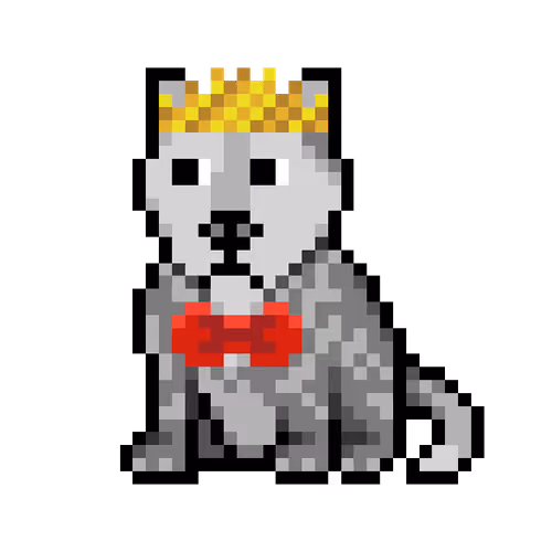 Wolf #11695