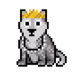 Wolf #10307