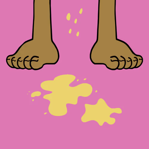 Not Poop Collection