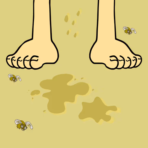 Not Poop Collection
