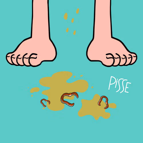 Not Poop Collection