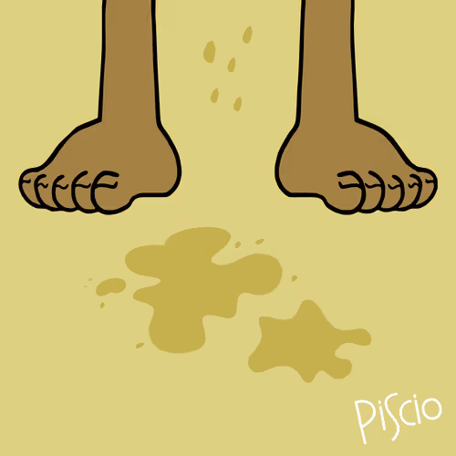 Not Poop Collection