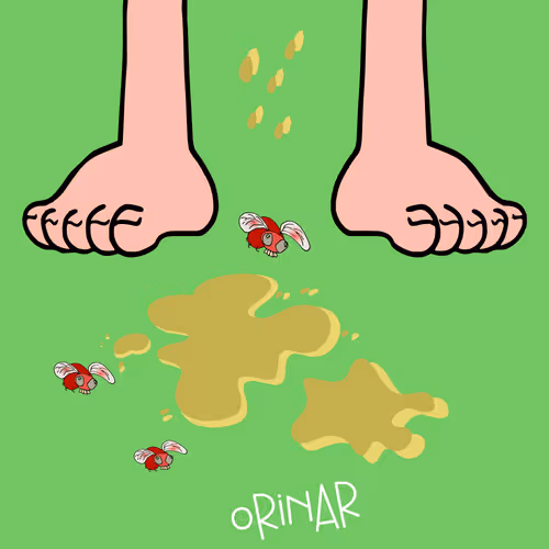 Not Poop Collection