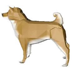 Wagumi MoonDoges