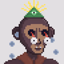 Monkey #2446