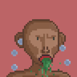 Monkey #3360