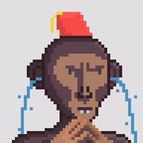 Monkey #2384
