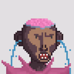 Monkey #3362