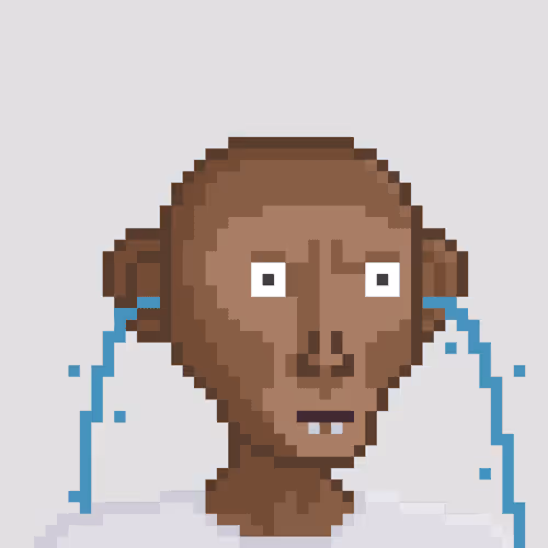 Monkey #587