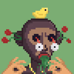 Monkey #2495