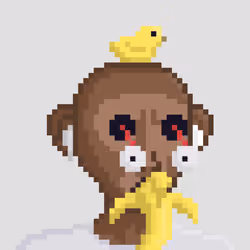 Monkey #2560