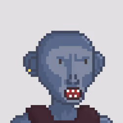 Monkey #2497