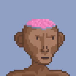 Monkey #2774