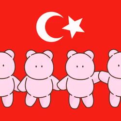 Türkiye × Mashkuma #4