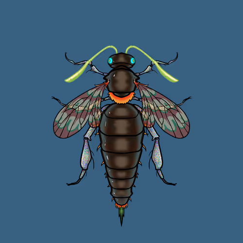 Freefund Queenbee