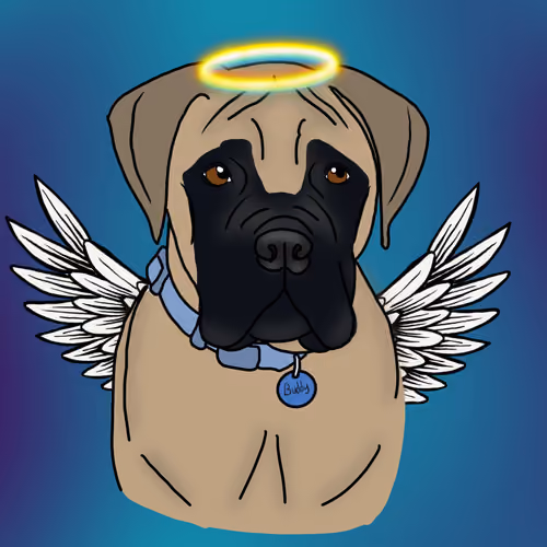Buddy 