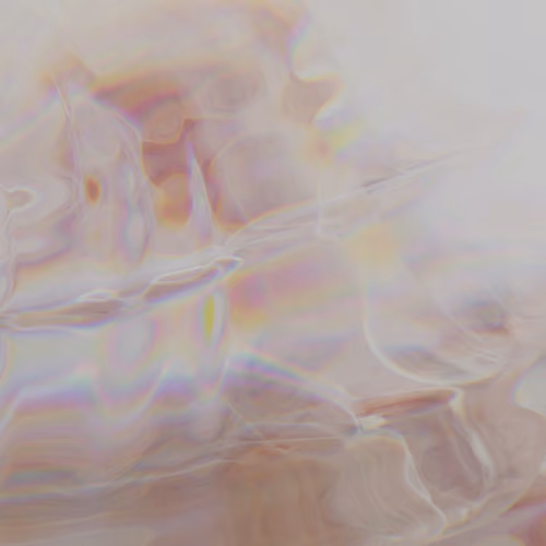 Parallels 06