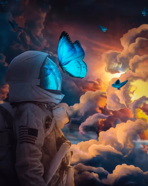 Item #63000084 Media